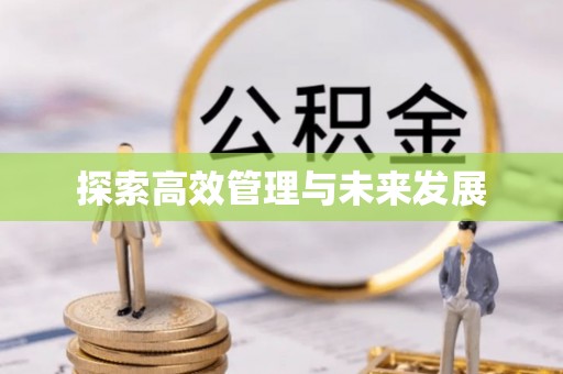 灵璧探索高效管理与未来发展