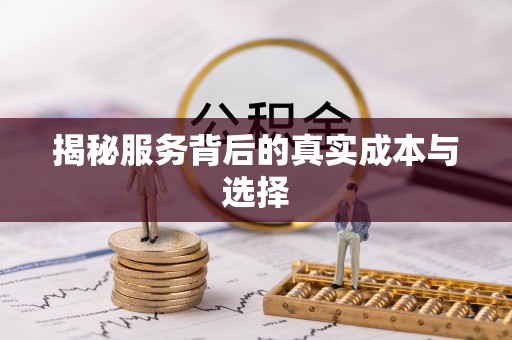 灵璧揭秘服务背后的真实成本与选择