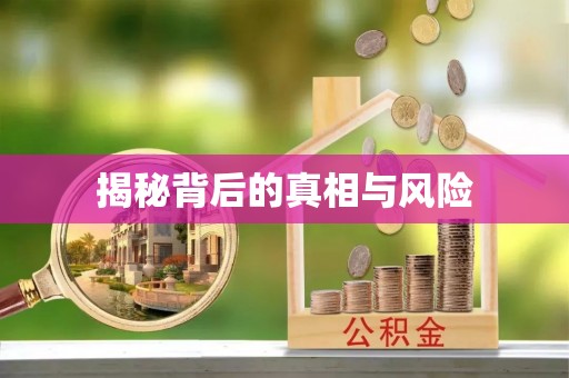 灵璧揭秘背后的真相与风险