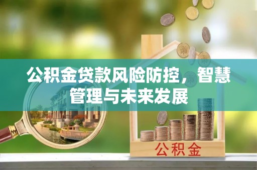灵璧公积金贷款风险防控，智慧管理与未来发展