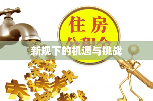 灵璧新规下的机遇与挑战