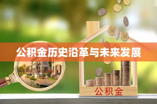 灵璧公积金历史沿革与未来发展