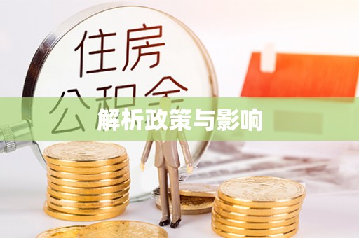 灵璧解析政策与影响