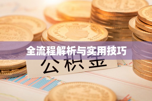 灵璧全流程解析与实用技巧