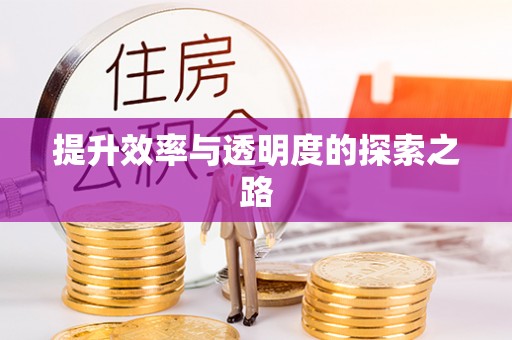 灵璧提升效率与透明度的探索之路