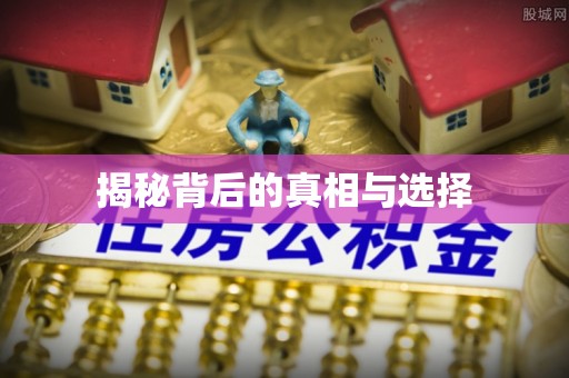 灵璧揭秘背后的真相与选择