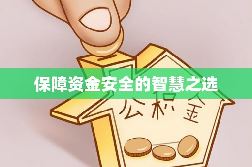 灵璧保障资金安全的智慧之选