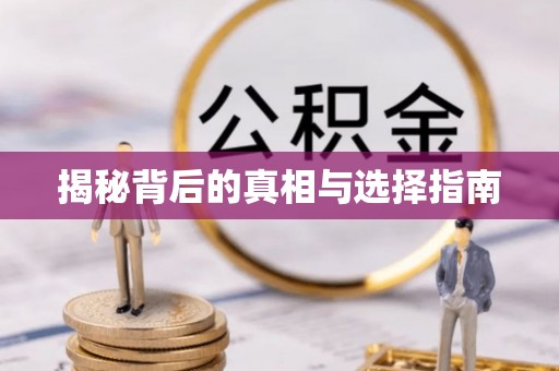 灵璧揭秘背后的真相与选择指南