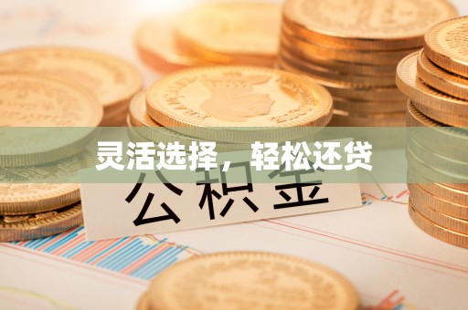 灵璧灵活选择，轻松还贷
