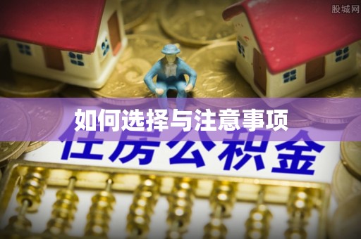 灵璧如何选择与注意事项