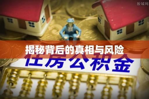 灵璧揭秘背后的真相与风险