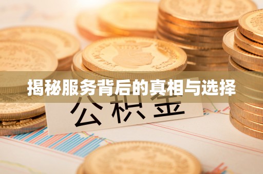 灵璧揭秘服务背后的真相与选择