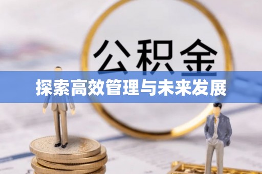 灵璧探索高效管理与未来发展