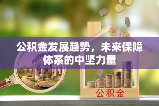 灵璧公积金发展趋势，未来保障体系的中坚力量