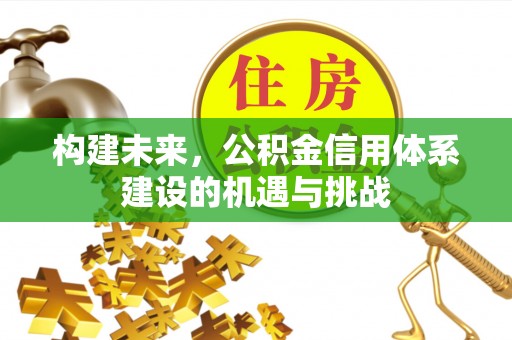 灵璧构建未来，公积金信用体系建设的机遇与挑战