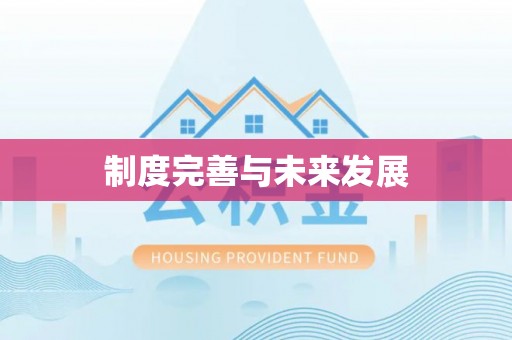 灵璧制度完善与未来发展