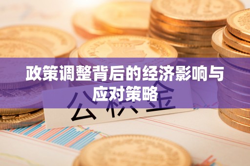 灵璧政策调整背后的经济影响与应对策略