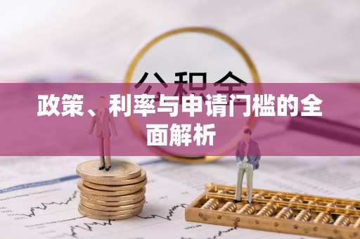 灵璧政策、利率与申请门槛的全面解析