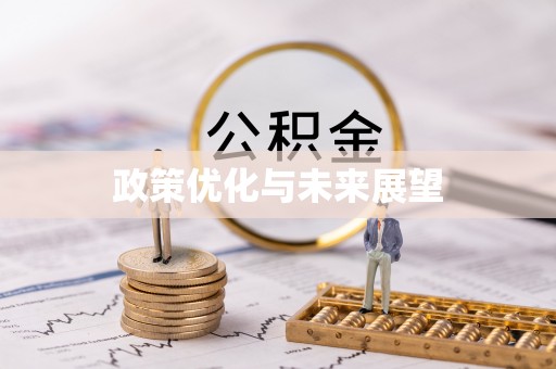 灵璧政策优化与未来展望