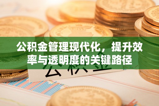 灵璧公积金管理现代化，提升效率与透明度的关键路径