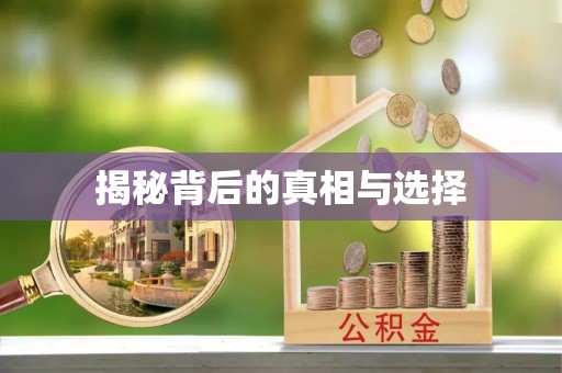 灵璧揭秘背后的真相与选择