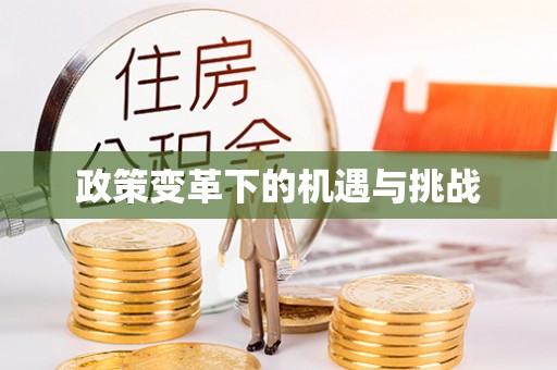 灵璧政策变革下的机遇与挑战