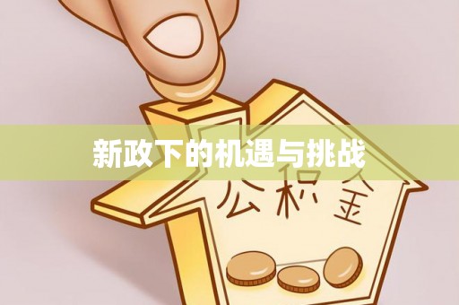 灵璧新政下的机遇与挑战