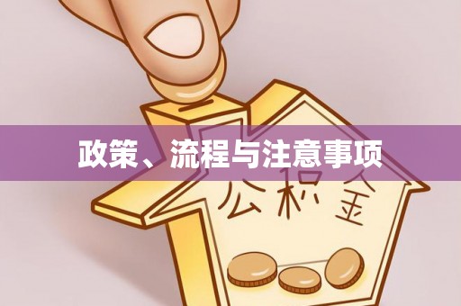 灵璧政策、流程与注意事项