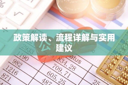灵璧政策解读、流程详解与实用建议