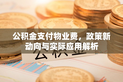 灵璧公积金支付物业费，政策新动向与实际应用解析