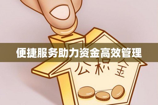 灵璧便捷服务助力资金高效管理