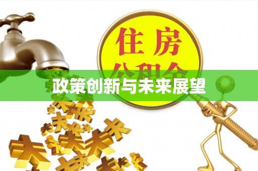 灵璧政策创新与未来展望